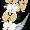 藤井誠治