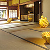 田中悠