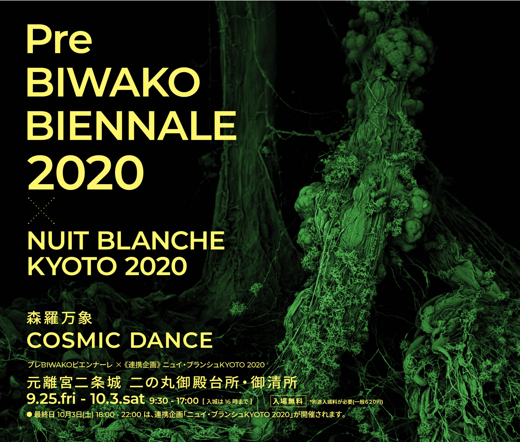 9月25日(金) 〜 10月3日(土)京都 二条城で《プレBIWAKOビエンナーレ2020 × ニュイ・ブランシュKYOTO 2020》開催します！